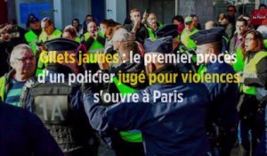 Gilets jaunes : le premier procès d'un policier jugé pour violences s'ouvre à Paris