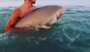 Un idiot s'amuse à prendre dans ses bras un requin