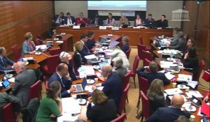 Commission du développement durable : Lutte contre le gaspillage et économie circulaire (suite) - Mercredi 27 novembre 2019