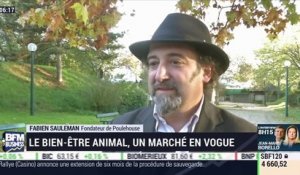 La France qui bouge : Le bien-être animal, un marché en vogue - 26/11