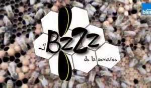 Le BZZZ de la semaine 26 France Bleu Touraine