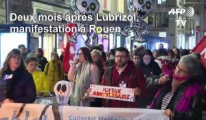 Lubrizol: deux mois après l'incendie, une marche pour la "transparence" à Rouen