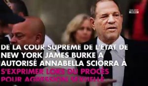 Harvey Weinstein : l'actrice Annabella Sciorra va témoigner à son procès