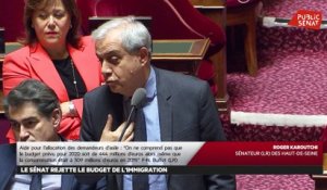 Projet de loi de Finances 2020 : le Sénat rejette les budgets de l'Immigration e - Les matins du Sénat (29/11/2019)