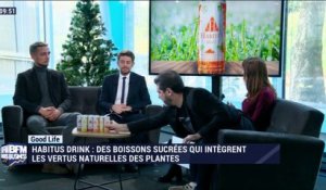 Habitus Drink: des boissons sucrées qui intègrent les vertus naturelles des plantes - 07/12