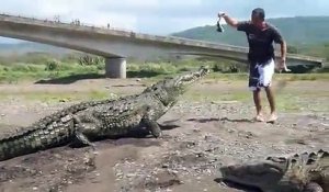 Il nourrit un crocodile de 4m de long... Belle bête