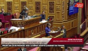 Budget : le Sénat modifie l'impôt sur la fortune immobilière - Les matins du Sénat (09/12/2019)