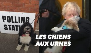 Boris Johnson et les Britanniques votent avec leurs chiens