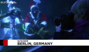 A l'aquarium de Berlin, les pères Noël nourrissent les poissons