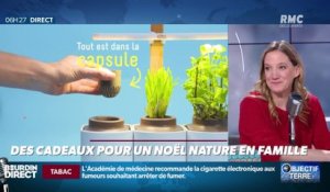 Objectif Terre : Des cadeaux pour un Noël nature en famille - 13/12