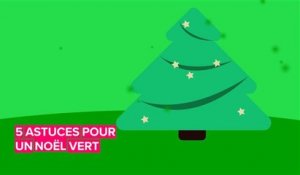 Noël 2019, respectueux de l'environnement.