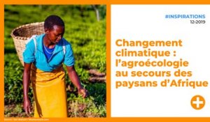 Changement climatique : l’agroécologie au secours des paysans d’Afrique