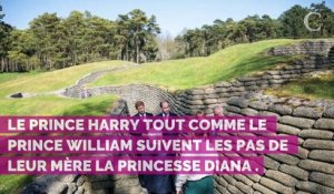 Le prince William : comment il sensibilise ses enfants George, Charlotte et Louis sur les problèmes de société