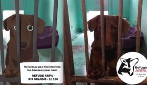 Refuge De Gerbey Sur Orange Vidéos