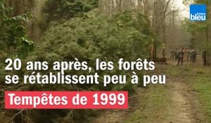 Tempêtes de 1999 - 20 ans après, les forêts de rétablissent peu à peu