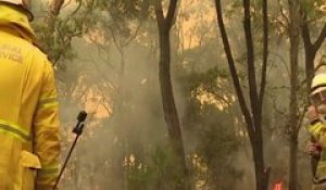 L'état d'urgence décrété dans le sud-est de l'Australie pour la canicule et les incendies