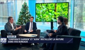 Biophilie, nouvelle solution végétale pour combattre le blues hivernal - 22/12