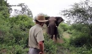 Il stoppe un éléphant d'une façon incroyable