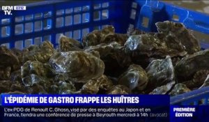 Une épidémie de gastro-entérite touche aussi les huîtres dans le Morbihan