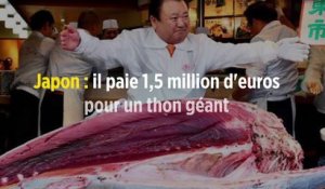 Japon : il paie 1,5 million d'euros pour un thon géant