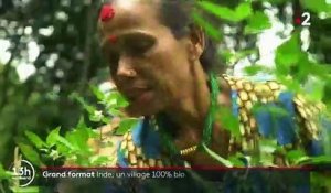 Inde : un village complètement bio