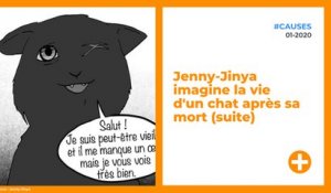 Jenny-Jinya imagine la vie d'un chat après sa mort (suite)