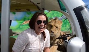 Dans les zoos en Russies vous finissez avec un lion dans la voiture