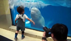 Un dauphin prend un malin plaisir à arroser un enfant