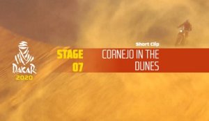 Dakar 2020 - Étape 7 / Stage 7 - Cornejo in the dunes