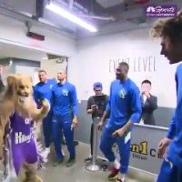 Les Bucks attaquent la mascotte des Kings