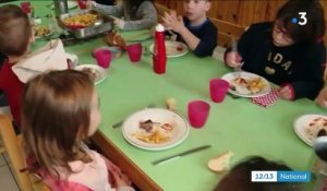 Lozère : des élus s'opposent au menu végétarien dans les cantines scolaires
