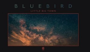 Little Big Town - Bluebird