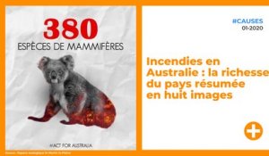 Incendies en Australie : la richesse du pays résumée en huit images