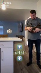 Un Chat Retombe Toujours Sur Ses Pattes Test Sur Orange Videos