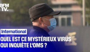 Quel est ce mystérieux virus chinois qui inquiète l'OMS ?