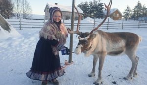 Voyage en Laponie : visite d'une ferme de rennes