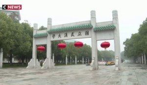 Virus en Chine : la ville de Wuhan en quarantaine