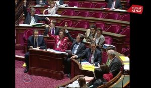 Quand le Sénat de droite votait la PMA pour les couples de femmes... en 2011