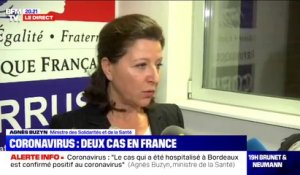 Agnès Buzyn après la détection de deux cas de coronavirus en France: "ce qui compte, c'est de circonscrire l'incendie le plus vite possible"