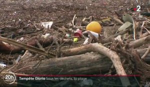 Aude : après le passage de la tempête Gloria, les détritus s'amoncellent sur les plages