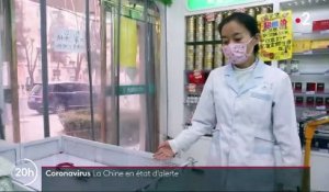 Coronavirus : la psychose s'installe en Chine