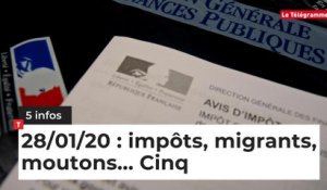 Impôts, migrants, moutons... Cinq infos bretonnes du 28 janvier