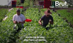 "Ce qu'on veut, c'est remplacer l'agriculture de masse par une masse d'agriculteurs", explique Jean-Martin Fortier