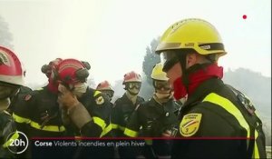 Corse : de violents incendies en plein hiver