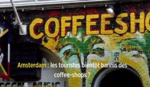 Amsterdam : les touristes bientôt bannis des coffee-shops ?