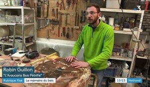 Isère : à la découverte du bois pétrifié