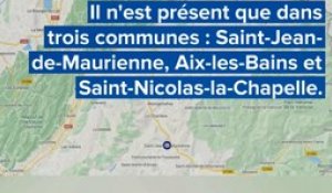 Municipales : en Savoie, le paradoxe du RN