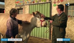 Salon de l'agriculture : des bêtes de concours à Paris
