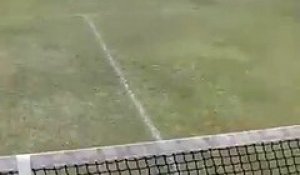 Chien vs Filet de tennis