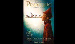Pinocchio (2019) HD 1080p x264 - French (MD)